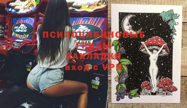 гашик Алексеевка