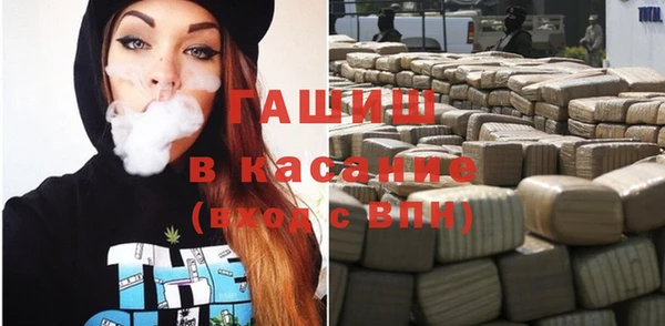 гашик Алексеевка