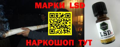 амф Новозыбков