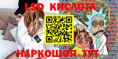 прущие грибы Новодвинск