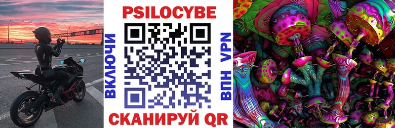 наркота  Сатка  Псилоцибиновые грибы Psilocybe 