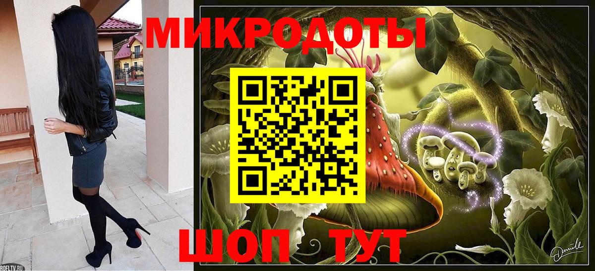 Галлюциногенные грибы Psilocybine cubensis  Псилоцибиновые грибы MAGIC MUSHROOMS  Сатка  Вход с VPN 