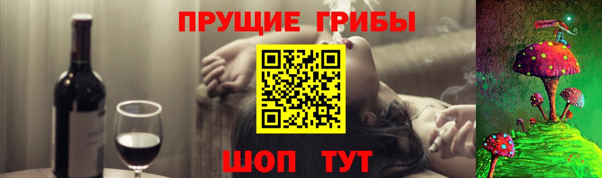 Псилоцибиновые грибы Cubensis Сатка